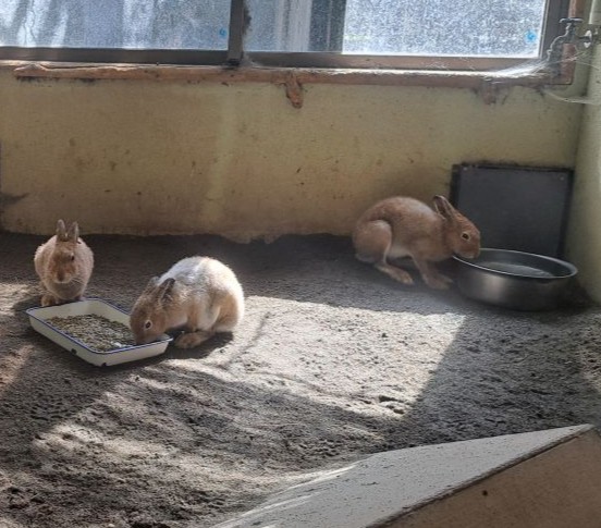 ひょっこり顔を出したのは…