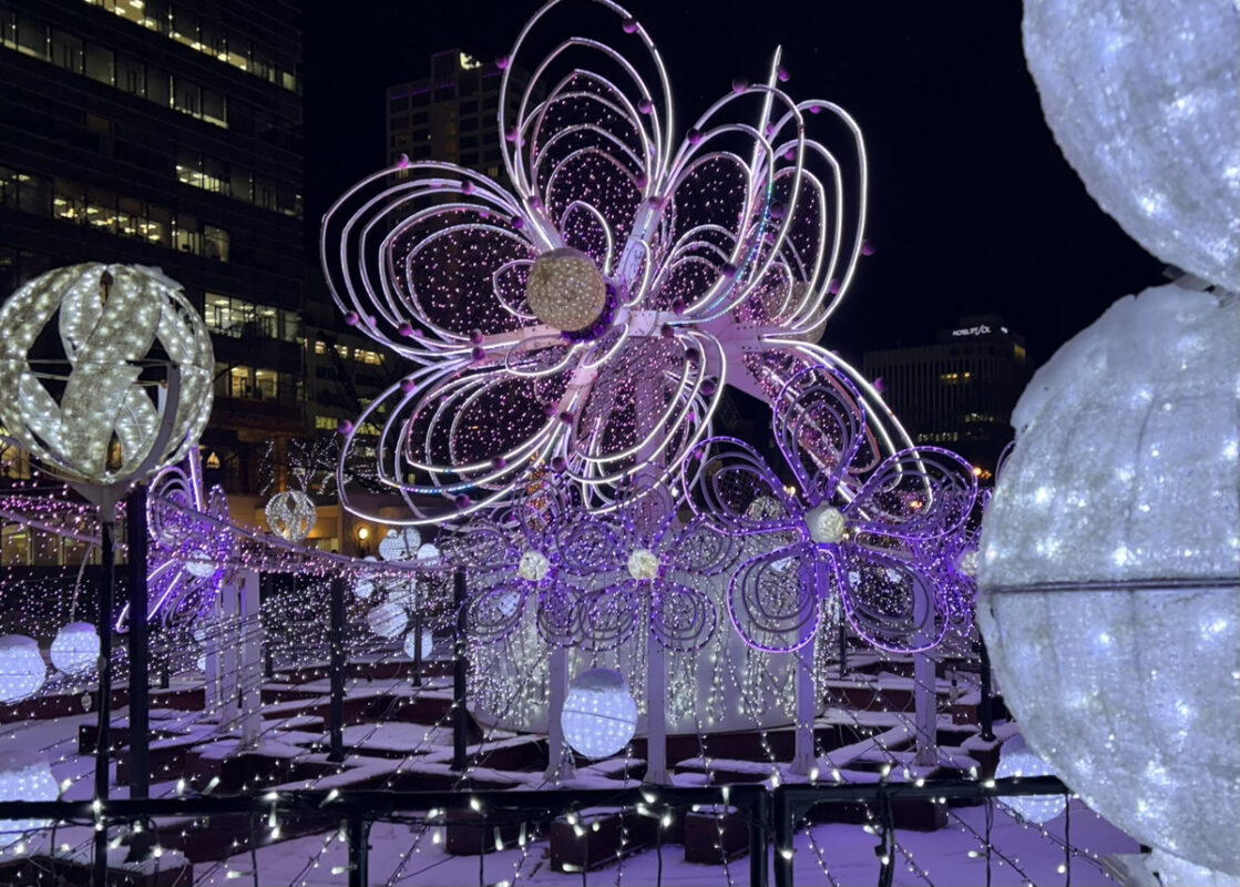 雪とイルミネーション